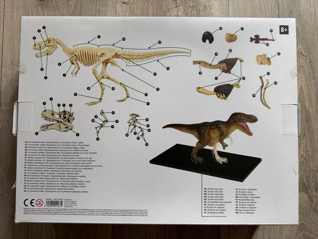 Modelo anatomía 3D Tiranosaurio Rex