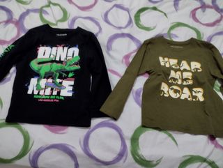 2 Camisetas Niño 6 años dinosaurios