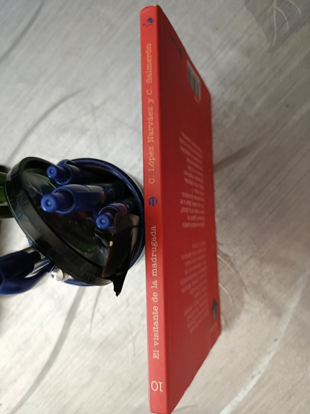 EL VISITANTE DE LA MADRUGADA.