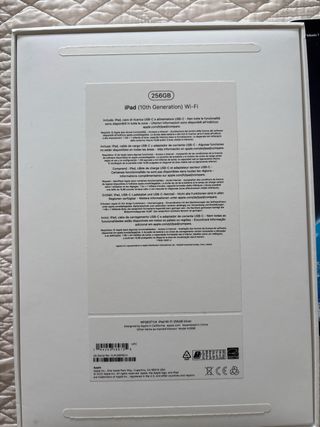 iPad silver 256 GB