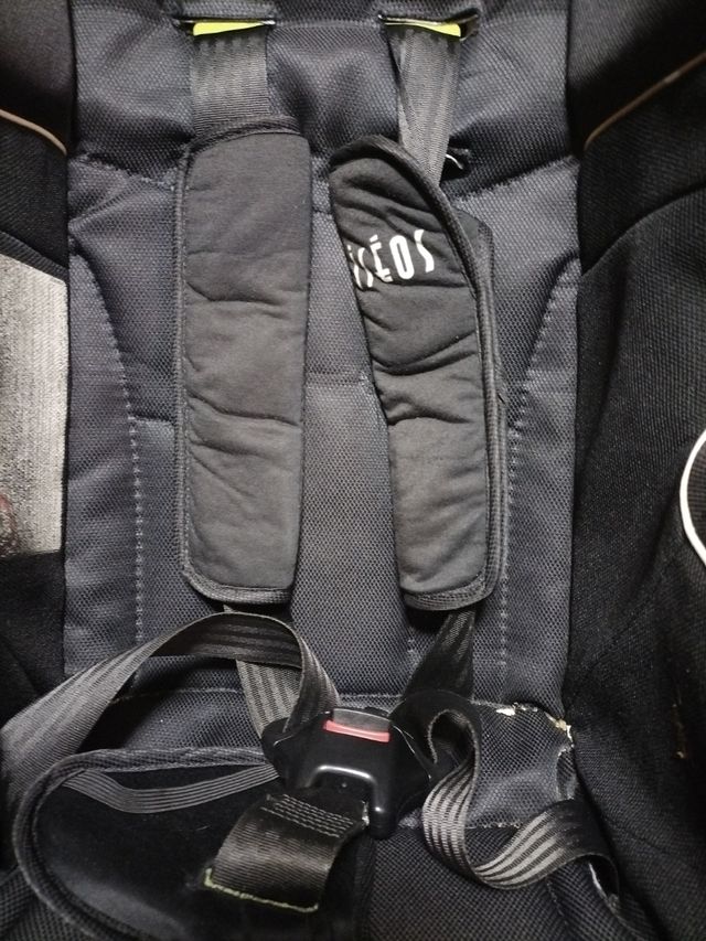 Silla coche grupo 1-2 Bébé Confort