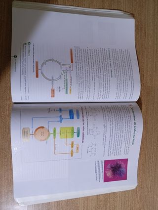 Biología 2º Bachillerato Tesela Libro del Alumno