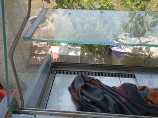 Nevera mostrador 1,5m - 80cm x 1'28 de alto