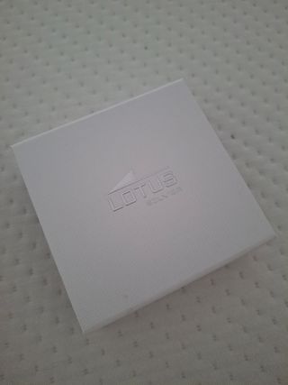 Collar Lotus Silver inicial M