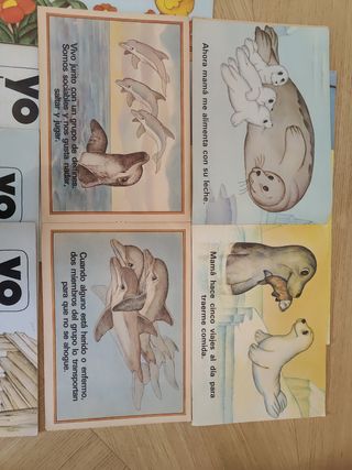 Colección Yo+ cada animal