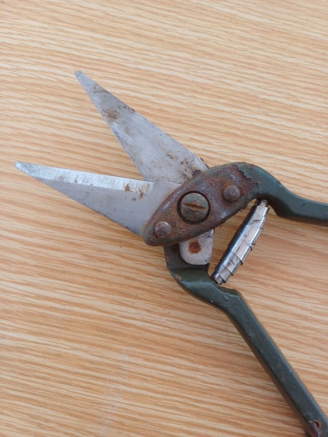 Tijera de podar u otro