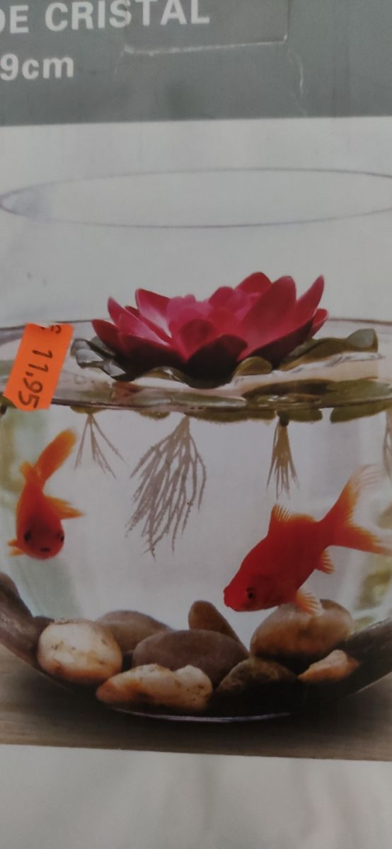 Pecera de cristal 19cm - NUEVA