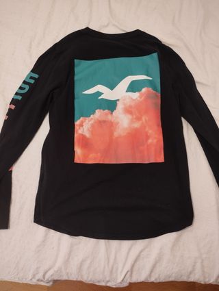 Camiseta Hollister manga larga multicolor