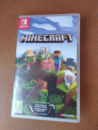 Minecraft Nintendo Switch