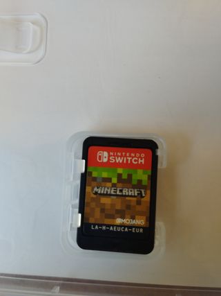 Minecraft Nintendo Switch