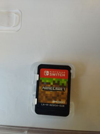 Minecraft Nintendo Switch