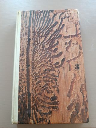 Corso Osservazioni Scientifiche - 3° Media