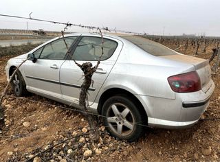 Peugeot 407 2006