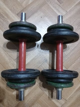 DOS MANCUERNAS PESA 20K