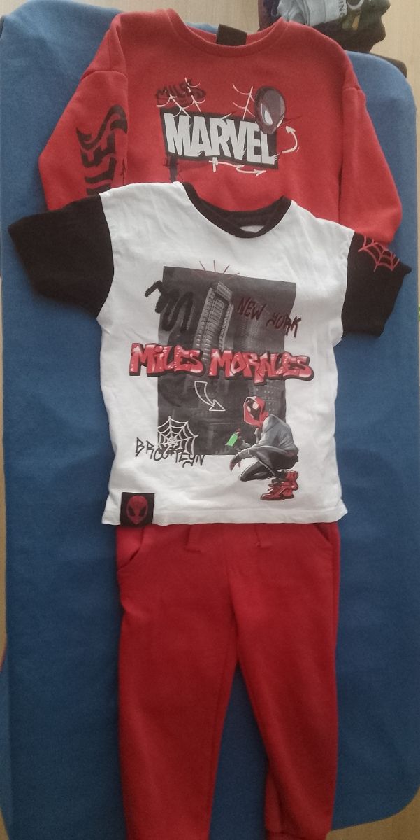 Lote ropa niño 2-3 años