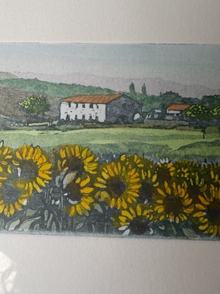 Quadro a tecnica acquaforte e acquerello: girasoli