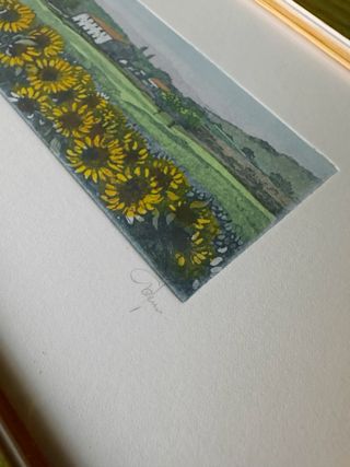 Quadro a tecnica acquaforte e acquerello: girasoli