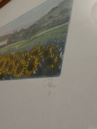 Quadro a tecnica acquaforte e acquerello: girasoli