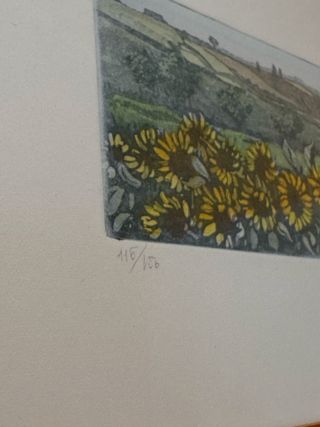 Quadro a tecnica acquaforte e acquerello: girasoli