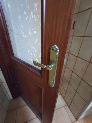 Puerta interior madera sapelly cristal