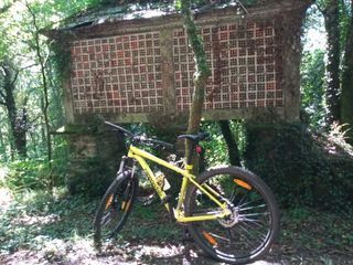 Bicicleta Cannondale, amarilla nueva