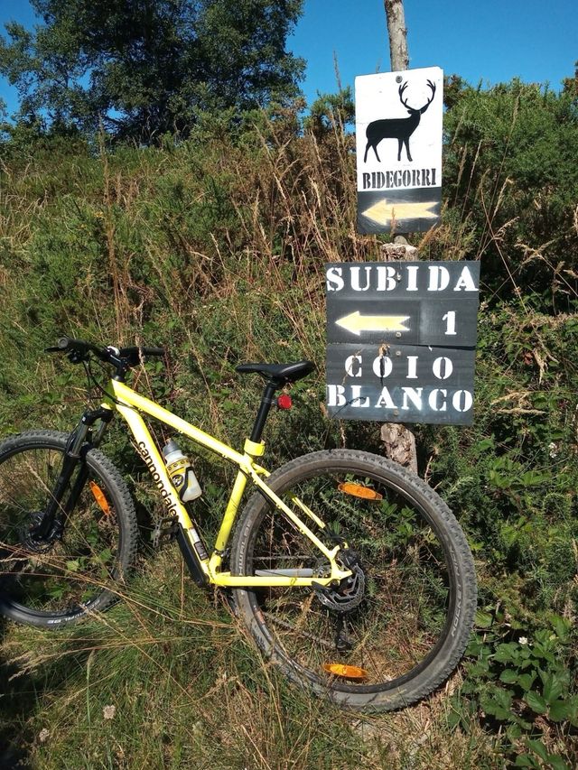 Bicicleta Cannondale, amarilla nueva