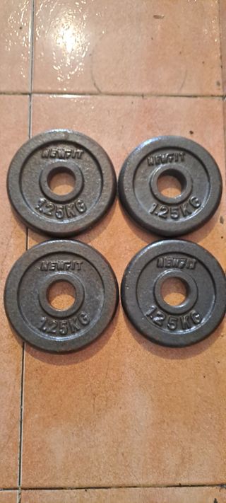 4 DISCOS DE 1.25KG PARA BARRAS DE 30MM