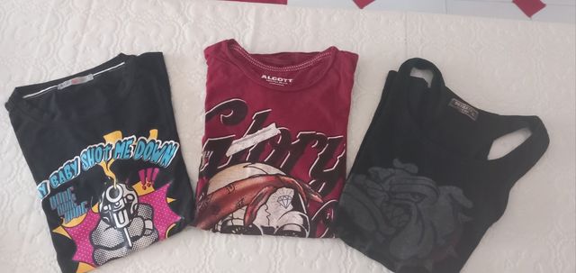 3 Magliette Uomo Alcott  tg L