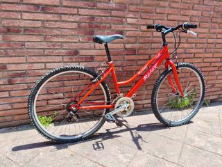 Bicicleta niño 5-10 años
