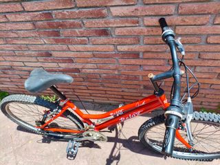 Bicicleta niño 5-10 años