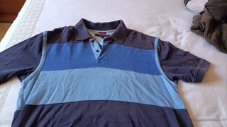 Polo Tommy Hilfiger multicolor hombre
