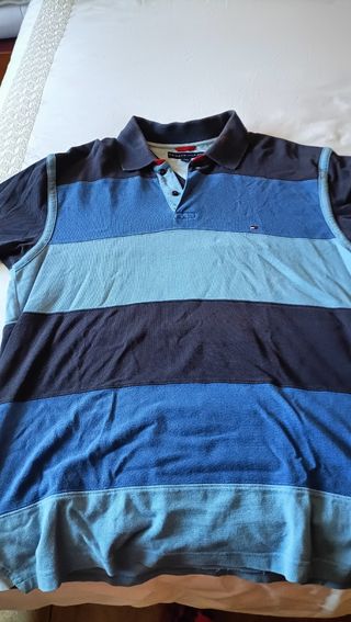 Polo Tommy Hilfiger multicolor hombre