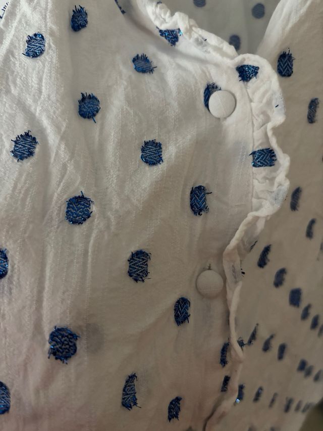 Blusa Zara lunares azul y blanco