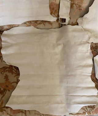 Pelle scamosciata beige