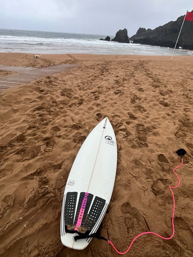 Tabla surf Sealand 6'0" usada