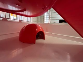 Jaula hámster Voltregà