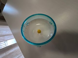 Jaula hámster Voltregà