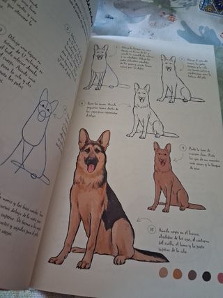 DIBUJAR GATOS Y perros EN 10 PASOS