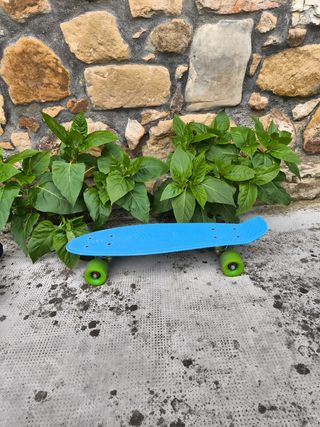 Patinete Skate