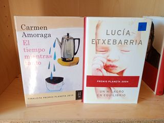 Lote de libros novelas variadas