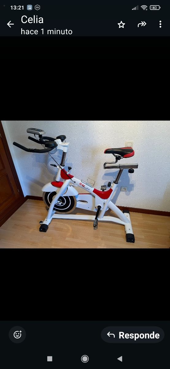 Bicicleta spinning GELUSA MG701
