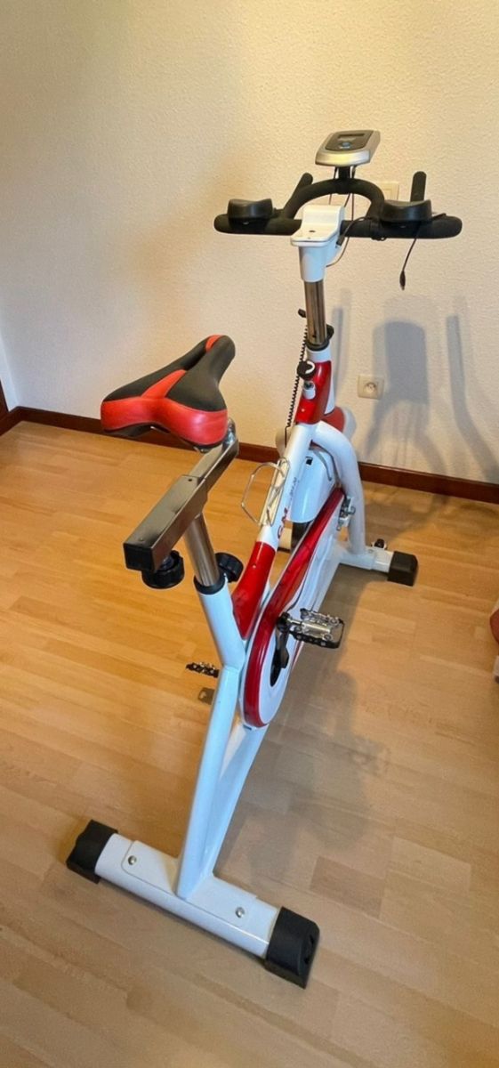 Bicicleta spinning GELUSA MG701