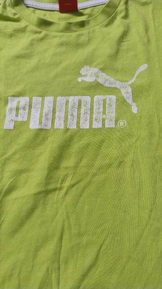 T-shirt Puma Bambino 12 anni