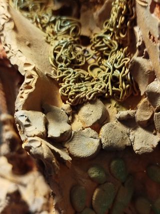 Presepe terracotta vintage