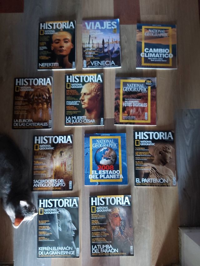 Revistas National Geographi Varios
