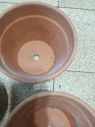 Vasi terracotta | Piante grasse fiori