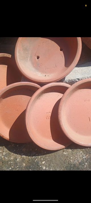 Vasi terracotta | Piante grasse fiori