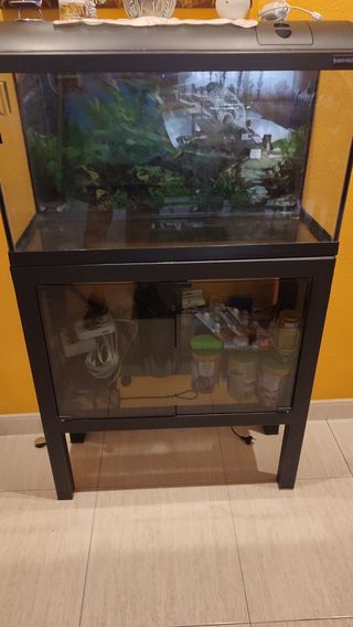 Acuario completo 800x300x500+ mueble de 800x300x85