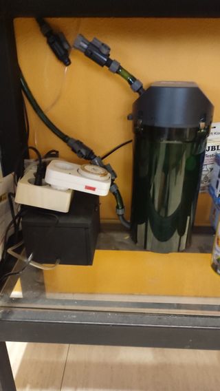 Acuario completo 800x300x500+ mueble de 800x300x85