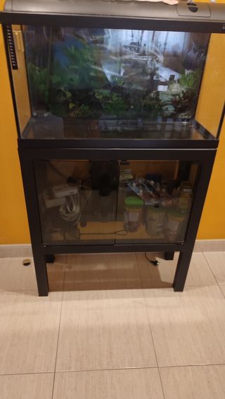 Acuario completo 800x300x500+ mueble de 800x300x85